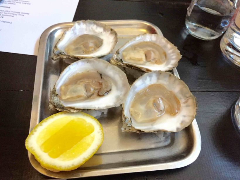 Angasi oysters