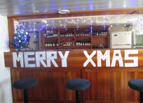 justthesizzle-christmas-decorated-bar-antarctic-cruise