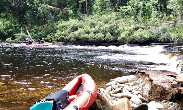 justthesizzle-rafting-the-tahune-guides-paddling
