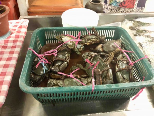 justthesizzle-penang-market-food-mud-crab-kak-ani-seafood
